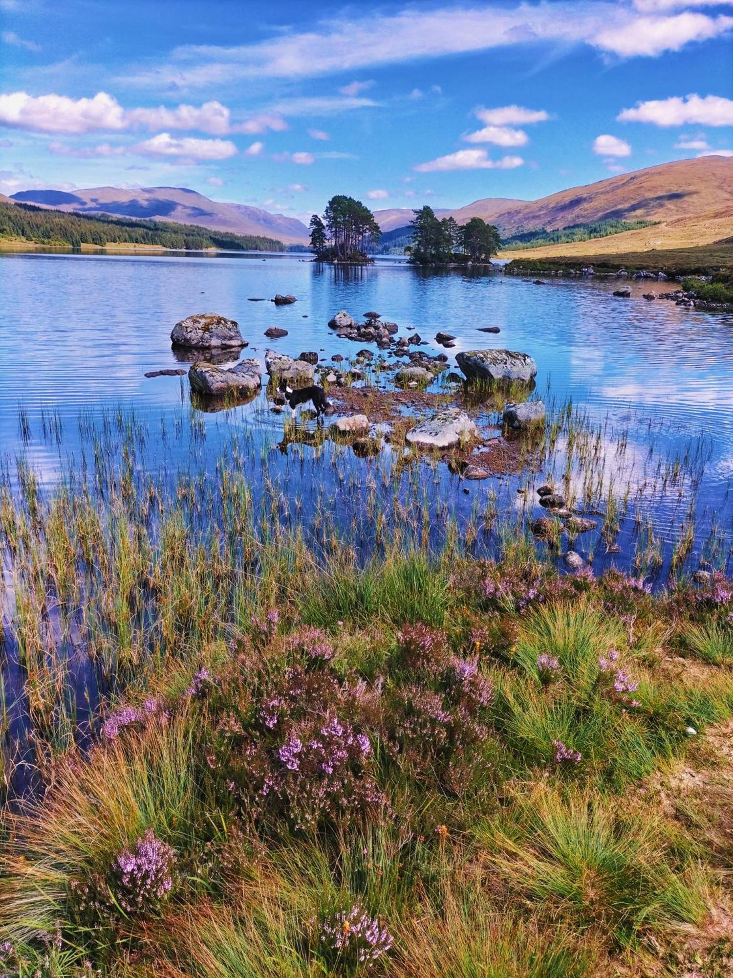 Glenfinnan Retreats Екстериор снимка